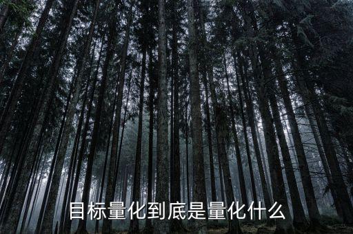 什么量化為,目標量化到底是量化什么