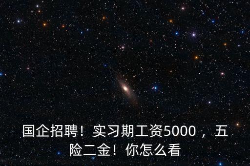 國企招聘！實習期工資5000 ，五險二金！你怎么看