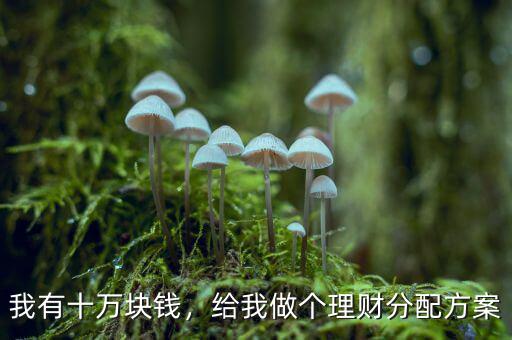 我有十萬塊錢，給我做個(gè)理財(cái)分配方案
