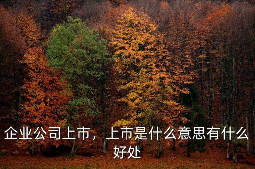 企業(yè)公司上市，上市是什么意思有什么好處
