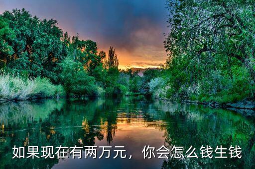 如果現(xiàn)在有兩萬元，你會(huì)怎么錢生錢