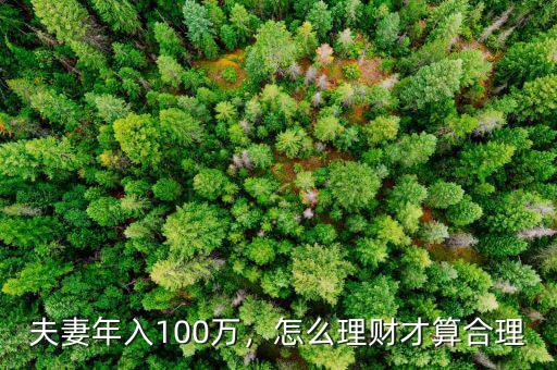 夫妻年入100萬，怎么理財才算合理