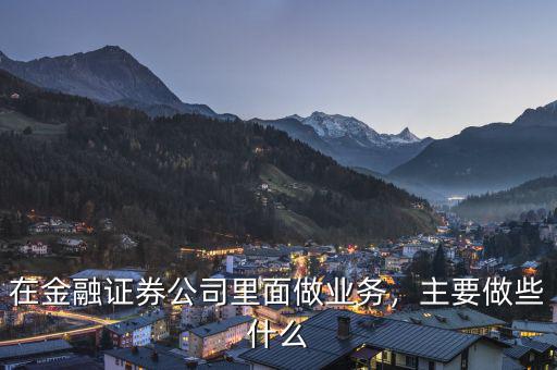 在金融證券公司里面做業(yè)務(wù)，主要做些什么