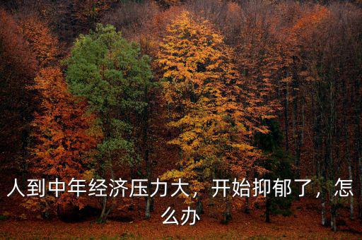 人到中年經(jīng)濟壓力大，開始抑郁了，怎么辦