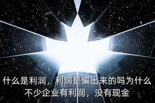 什么是利潤(rùn)，利潤(rùn)是編出來(lái)的嗎為什么不少企業(yè)有利潤(rùn)，沒(méi)有現(xiàn)金