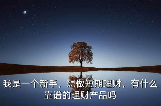 我是一個(gè)新手，想做短期理財(cái)，有什么靠譜的理財(cái)產(chǎn)品嗎