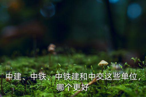中建、中鐵、中鐵建和中交這些單位，哪個(gè)更好