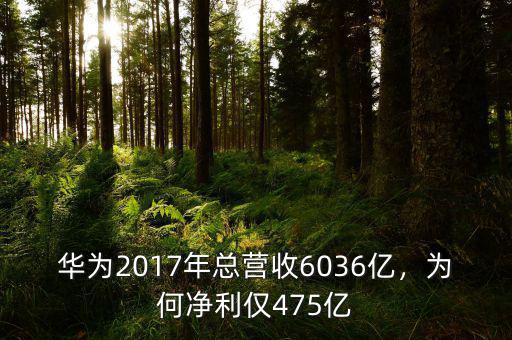 華為2017年總營收6036億，為何凈利僅475億