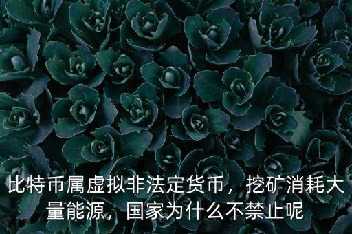 比特幣屬虛擬非法定貨幣，挖礦消耗大量能源，國(guó)家為什么不禁止呢