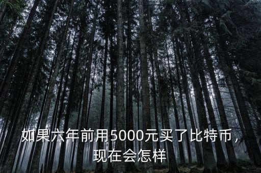如果六年前用5000元買了比特幣，現(xiàn)在會(huì)怎樣