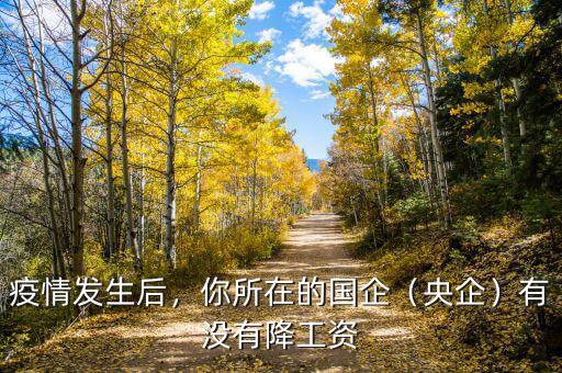 疫情發(fā)生后，你所在的國企（央企）有沒有降工資
