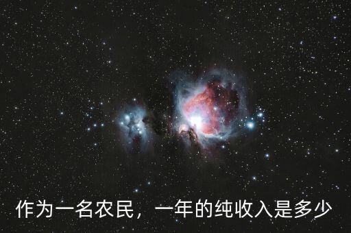 作為一名農(nóng)民，一年的純收入是多少