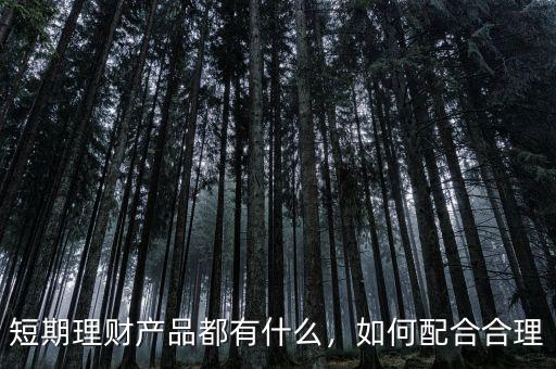 短期理財產(chǎn)品都有什么，如何配合合理