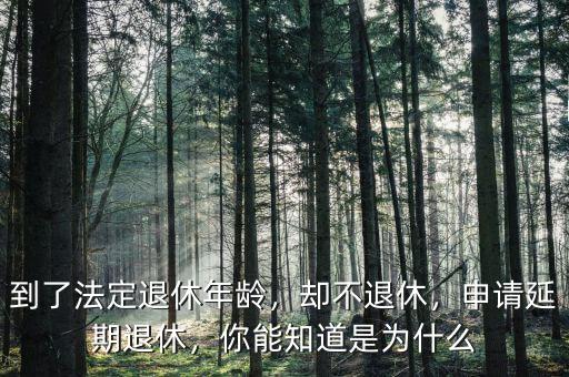 到了法定退休年齡，卻不退休，申請(qǐng)延期退休，你能知道是為什么