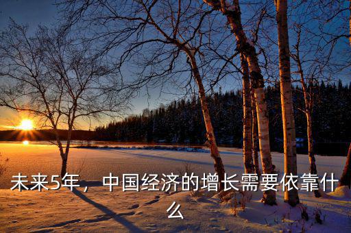 未來5年，中國經濟的增長需要依靠什么