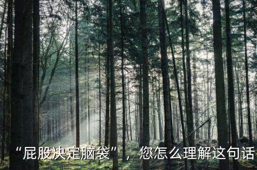 “屁股決定腦袋”，您怎么理解這句話