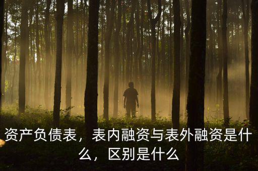 資產(chǎn)負(fù)債表，表內(nèi)融資與表外融資是什么，區(qū)別是什么
