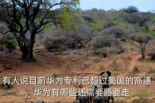 有人說(shuō)目前華為專(zhuān)利已超過(guò)美國(guó)的高通，華為有哪些還需要路要走