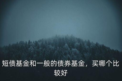 短債基金和一般的債券基金，買(mǎi)哪個(gè)比較好