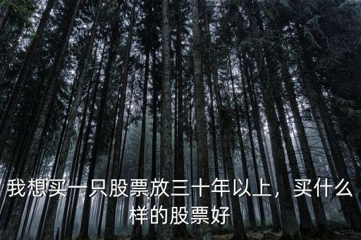 我想買(mǎi)一只股票放三十年以上，買(mǎi)什么樣的股票好