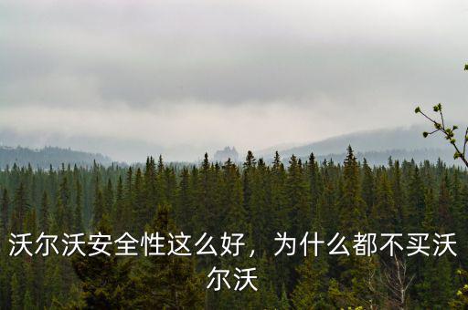 沃爾沃安全性這么好，為什么都不買沃爾沃