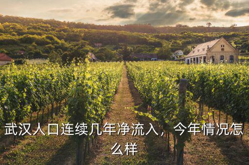 武漢人口連續(xù)幾年凈流入，今年情況怎么樣