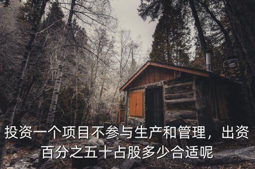 投資一個(gè)項(xiàng)目不參與生產(chǎn)和管理，出資百分之五十占股多少合適呢