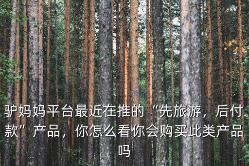 驢媽媽平臺(tái)最近在推的“先旅游，后付款”產(chǎn)品，你怎么看你會(huì)購(gòu)買此類產(chǎn)品嗎