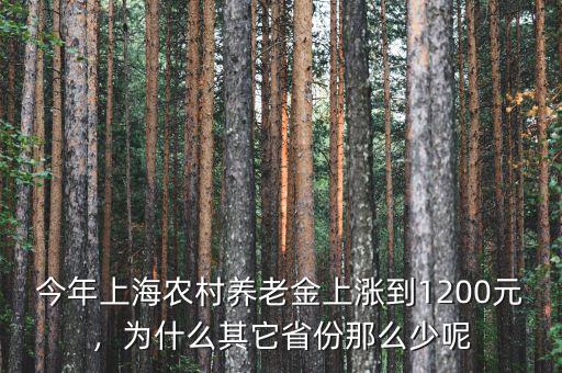 今年上海農(nóng)村養(yǎng)老金上漲到1200元，為什么其它省份那么少呢