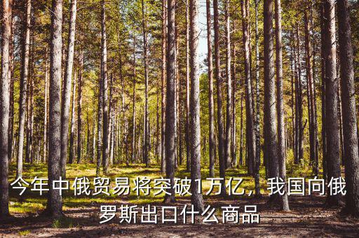 今年中俄貿(mào)易將突破1萬(wàn)億，我國(guó)向俄羅斯出口什么商品