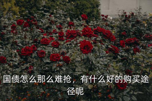 國(guó)債怎么那么難搶?zhuān)惺裁春玫馁?gòu)買(mǎi)途徑呢