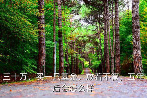 三十萬(wàn)，買一只基金，放著不管，五年后會(huì)怎么樣