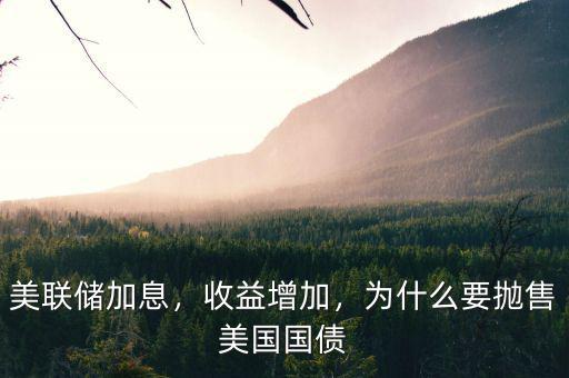 美聯(lián)儲(chǔ)加息，收益增加，為什么要拋售美國國債