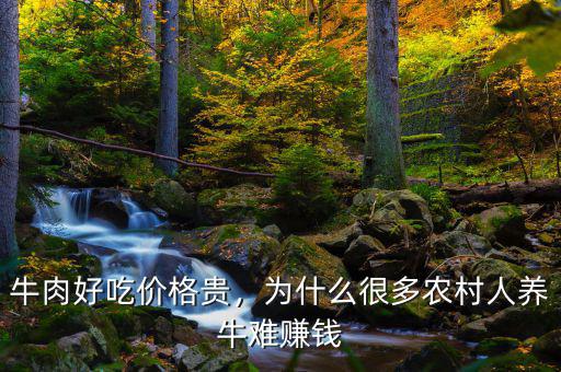 牛肉貴為什么不養(yǎng)牛,為什么農村養(yǎng)牛的越來越少啦