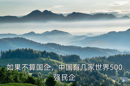 如果不算國企，中國有幾家世界500強民企