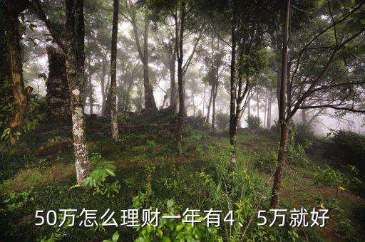 50萬怎么理財一年有4、5萬就好