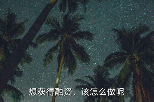 想獲得融資，該怎么做呢