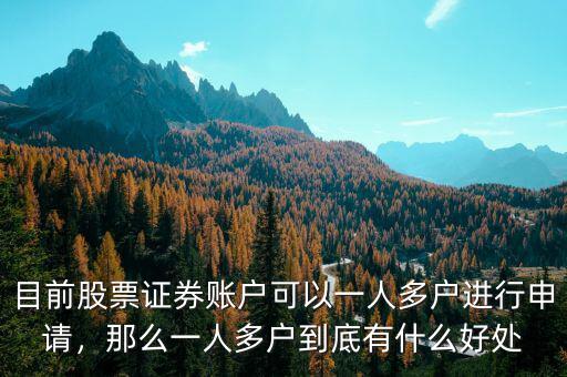 目前股票證券賬戶可以一人多戶進(jìn)行申請(qǐng)，那么一人多戶到底有什么好處