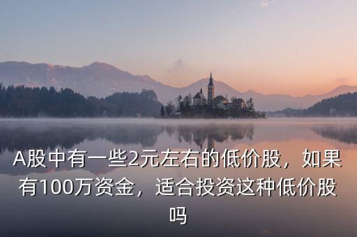 A股中有一些2元左右的低價(jià)股，如果有100萬資金，適合投資這種低價(jià)股嗎