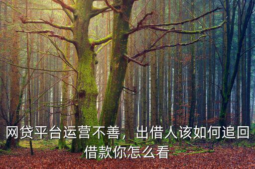 網(wǎng)貸平臺(tái)運(yùn)營不善，出借人該如何追回借款你怎么看