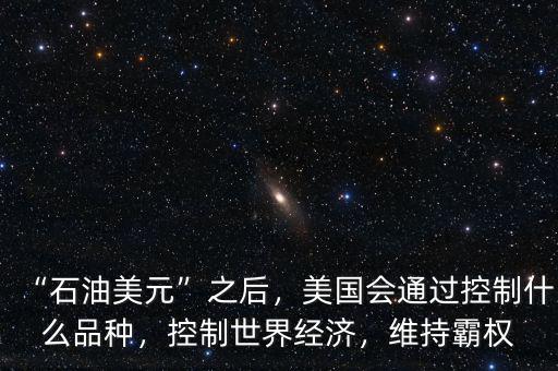 “石油美元”之后，美國會通過控制什么品種，控制世界經(jīng)濟(jì)，維持霸權(quán)