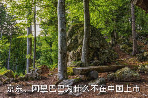 京東、阿里巴巴為什么不在中國(guó)上市