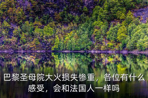 巴黎圣母院大火損失慘重，各位有什么感受，會(huì)和法國(guó)人一樣嗎