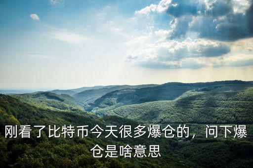 剛看了比特幣今天很多爆倉的，問下爆倉是啥意思
