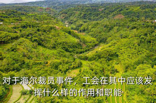 對(duì)于海爾裁員事件，工會(huì)在其中應(yīng)該發(fā)揮什么樣的作用和職能