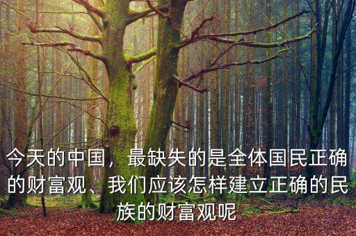 今天的中國，最缺失的是全體國民正確的財富觀、我們應(yīng)該怎樣建立正確的民族的財富觀呢