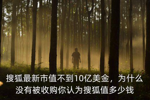 搜狐最新市值不到10億美金，為什么沒(méi)有被收購(gòu)你認(rèn)為搜狐值多少錢(qián)