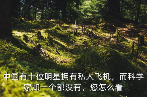 中國有十位明星擁有私人飛機(jī)，而科學(xué)家卻一個(gè)都沒有，您怎么看