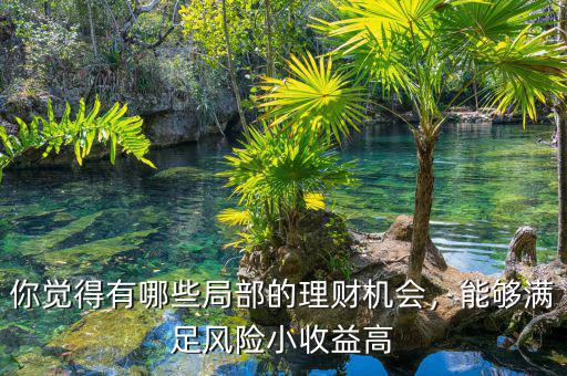 你覺(jué)得有哪些局部的理財(cái)機(jī)會(huì)，能夠滿足風(fēng)險(xiǎn)小收益高