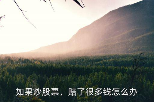 如果炒股票，賠了很多錢(qián)怎么辦